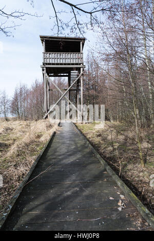 Hölzernen Fußweg zur Vogelbeobachtung Turm in einem Naturschutzgebiet auf der schwedischen Insel Öland Stockfoto