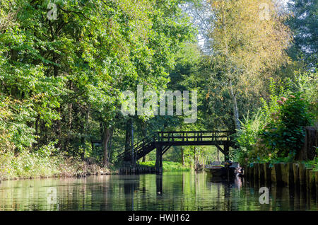 Spreewald, Landschaft in der Nähe von Berlin Stockfoto