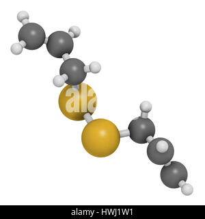 Diallyl-Disulfid-Knoblauch-Molekül. 3D-Rendering.  Eine der Verbindungen verantwortlich für Geschmack, Geruch und gesundheitliche Auswirkungen von Knoblauch. Atome sind represented Stockfoto