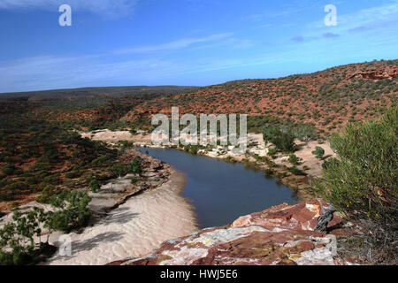 Blick auf die rot erdierte und von Busch gesäumte Schlucht im Kalbarri NP unter blauem Himmel in Westaustralien Stockfoto