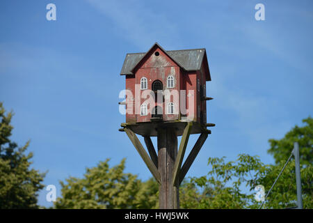 Vogelhaus, Domaene Dahlem, Koenigin-Luise-Straße, Dahlem, Steglitz-Zehlendorf, Berlin, Deutschland, Domäne Dahlem, Königin-Luise-Straße Stockfoto