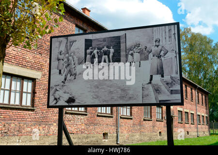 Schwarze Wand, Erschiessungen, Block 11, Stammlager ich Konzentrationslager Auschwitz-Birkenau, Auschwitz, Polen Stockfoto