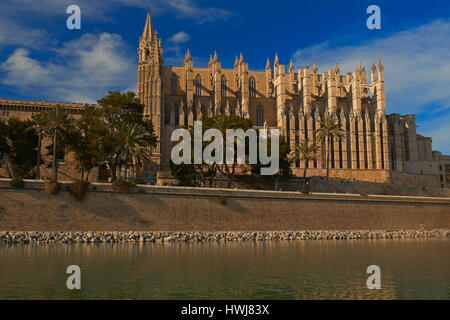 Palma De Mallorca, Kathedrale, Kathedrale La Seu, Palma, Mallorca, Balearen, Spanien, Europa Stockfoto