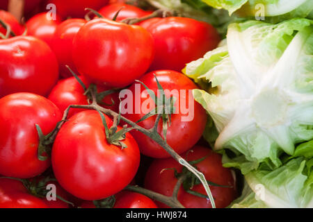 Tomaten und grünem Salat am Markt von Rialto in Venedig. Stockfoto