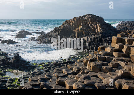 Giant es Causeway, County Antrim, Nordirland, Vereinigtes Königreich Stockfoto