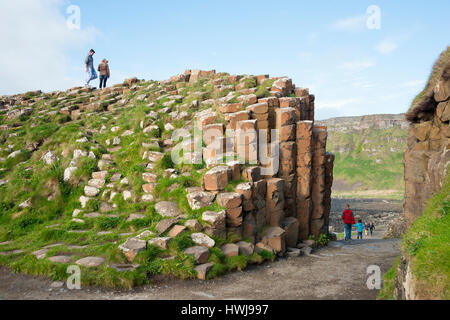 Giant es Causeway, County Antrim, Nordirland, Vereinigtes Königreich Stockfoto