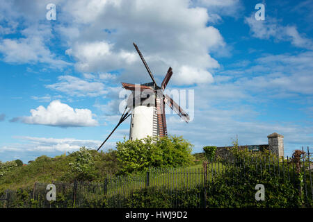 Windmühle, Schären, Fingal County, Irland Stockfoto