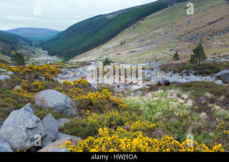 Wicklow Gap, Wicklow Mountains, County Wicklow, Ireland Stockfoto