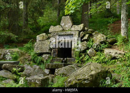 Weissmainquelle, Ochsenkopf, Fichtelgebirge, Oberfranken, Bayern, Deutschland Stockfoto