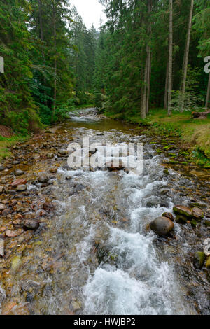 Bergbach, Dolina Koscieliska, Hohe Tatra, Polen Stockfoto