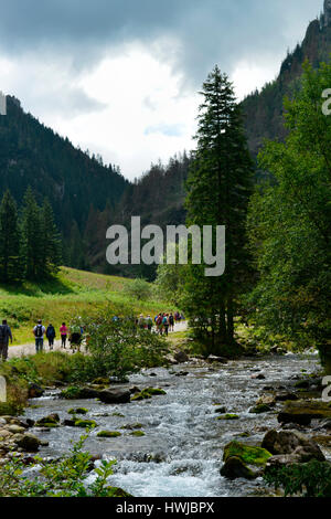 Bergbach, Dolina Koscieliska, Hohe Tatra, Polen Stockfoto