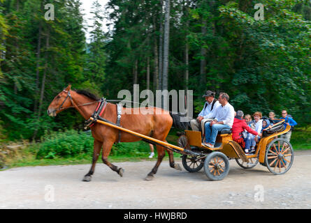 Pferdekutsche, Dolina Koscieliska, Hohe Tatra, Polen Stockfoto