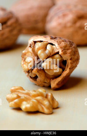 Geoeffnete Walnuss, Juglans regia Stockfoto