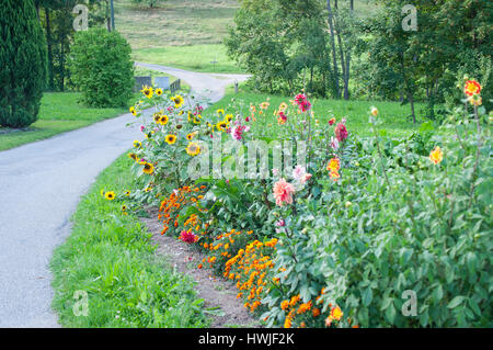 Bauerngarten, Rosengarten, Schwäbisch-Fränkischen Wald, Schwäbisch Hall, Region Hohenlohe, Baden-Württemberg, Heilbronn-Franken, Deutschland Stockfoto