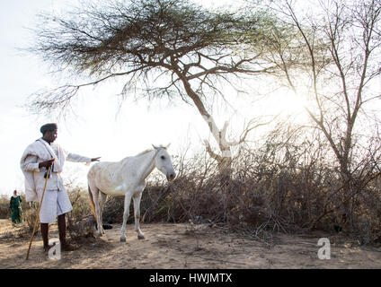 Weißes Pferd während der Gada System Zeremonie in Borana Stamm, Oromia, Yabelo, Äthiopien Stockfoto