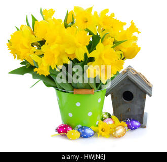 Tulpen und Narzissen in grün Vase mit Schleife. Frühling Blumen