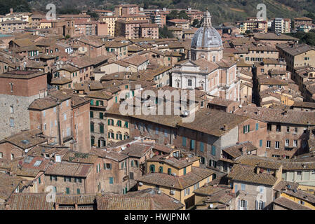 Der Blick über den Dächern von Siena aus Torre del Mangia, Toskana, Italien Stockfoto