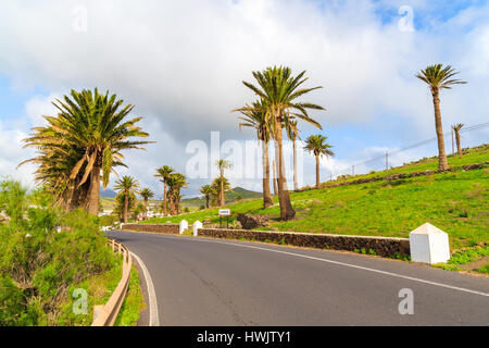 Straße mit Palmen in Haria Dorf auf der tropischen Insel Lanzarote, Spanien Stockfoto