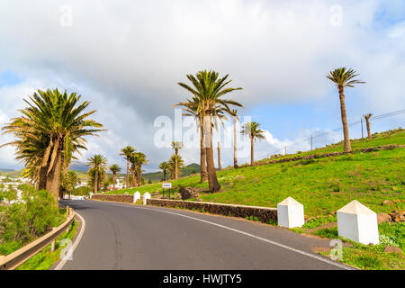 Straße mit Palmen in Haria Dorf auf der tropischen Insel Lanzarote, Spanien Stockfoto