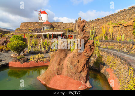 Tropischen Kakteen Gärten in Guatiza Dorf auf der Insel Lanzarote, Spanien Stockfoto