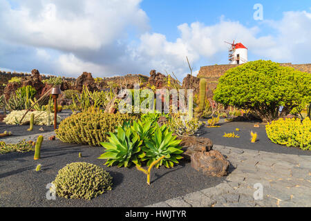 Tropischen Kakteen Gärten in Guatiza Dorf auf der Insel Lanzarote, Spanien Stockfoto