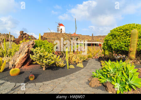 Tropischen Kakteen Gärten in Guatiza Dorf auf der Insel Lanzarote, Spanien Stockfoto