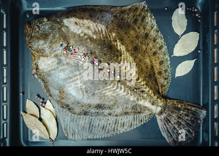 Fisch Flunder liegt auf einem Backblech mit Gewürzen dekoriert Stockfoto