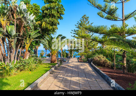 Tropischen Garten in der Stadt Puerto De La Cruz auf Teneriffa, Spanien Stockfoto