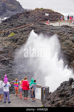 Kiama Blowhole im Blasloch Point, New South Wales, Australien. Stockfoto