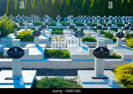 Lemberg - ca. August 2013 / Ukraine: Gräber der Verteidiger von Lemberg auf dem Lytschakiwski-Friedhof in Lemberg. ca. August 2013 in Lemberg, Ukraine. Stockfoto