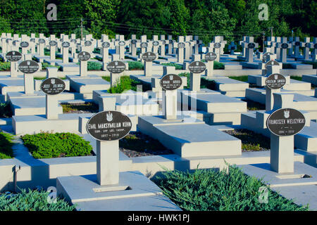 Lemberg - ca. August 2013 / Ukraine: Gräber der Verteidiger von Lemberg auf dem Lytschakiwski-Friedhof in Lemberg. ca. August 2013 in Lemberg, Ukraine. Stockfoto