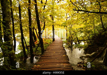 Nachmittag im Nationalpark Plitvice in Kroatien Stockfoto