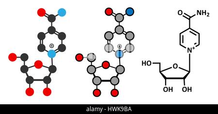 Nicotinamid-Riboside (NR)-Molekül. Stilisierte 2D Renderings und konventionellen Skelettformel. Vorläufer des Nicotinamid-Adenin-Dinucleotide (NAD). Stock Vektor