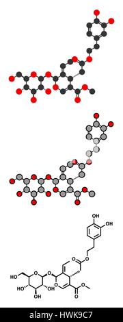 Oleuropein Olive Komponente Molekül. Stilisierte 2D Renderings und konventionellen Skelettformel. Teilweise verantwortlich für die Schärfe von nativem Olivenöl, m Stock Vektor