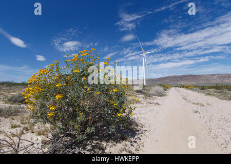 Windmühlen im Ocotillo Windpark im Anza-Borrego Desert State Park. Die Turbinen erzeugen Strom, der nach San Diego über die Sunrise Powerlink gesendet wird. Stockfoto