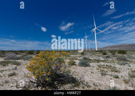 Windmühlen im Ocotillo Windpark im Anza-Borrego Desert State Park. Die Turbinen erzeugen Strom, der nach San Diego über die Sunrise Powerlink gesendet wird. Stockfoto