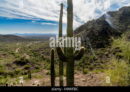 Wandern entlang des Weges gehen John im Cave Creek Naherholungsgebiet nördlich von Phoenix Arizona USA Stockfoto