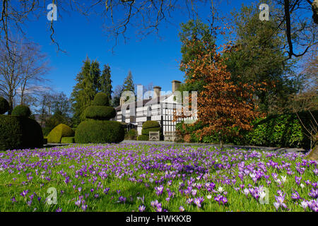 Plas Newydd Llangollen Stockfoto