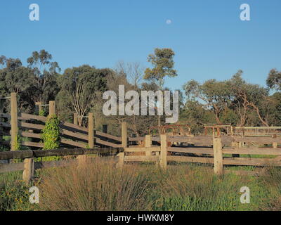 Mond über einer desolaten Rinderladerampe in einer freigeworbenen Feldladerampe Victoria, Australien 2015 Stockfoto