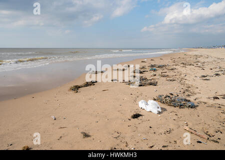 Verschmutzung an der niederländischen Nordseeküste Stockfoto