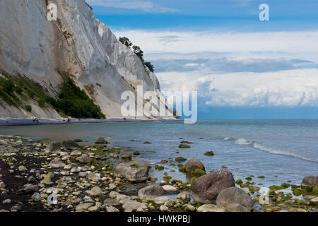 Die weißen Klippen von Mons Klint in Dänemark Stockfoto