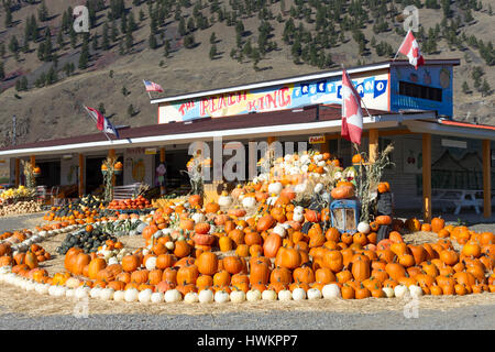 Keremeos, British Columbia, Kanada - 30. September 2016: Eine Anordnung von Winter Squash in The Peach König Obststand befindet sich in Keremeos, Brite/Britin Co Stockfoto