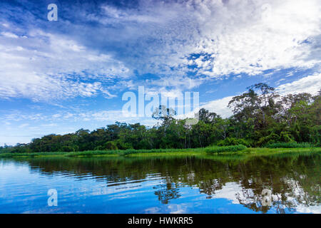 Schöne Landschaft und Reflexion in einem Fluss in der Amazonas-Regenwald in der Nähe von Iquitos, Peru Stockfoto