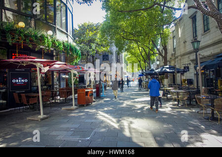 SHANGHAI, CHINA - 29. Januar 2017: Wandern rund um die Französische Konzession Bezirk von Shanghai, beliebtes Ziel für Touristen mit charmanten Gassen, Geschäften und Restaurants Stockfoto