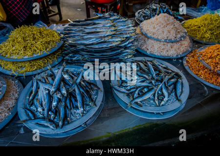 SHANGHAI, CHINA: Auswahl an Meeresfrüchten am Fischmarkt im berühmten Wasserstadt Zhouzhuang, alten Stadtteil mit Kanälen und alten Gebäuden, charmante beliebtes Erholungsgebiet Stockfoto