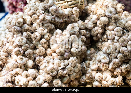 Bündel von Knoblauch (Khlong Lat Mayom Floating Market, Bangkok Thailand) Stockfoto