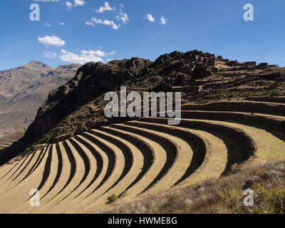 Pisac, Peru - 19. Mai 2016: Ruinen von Pisac in Perus Heiliges Tal Stockfoto