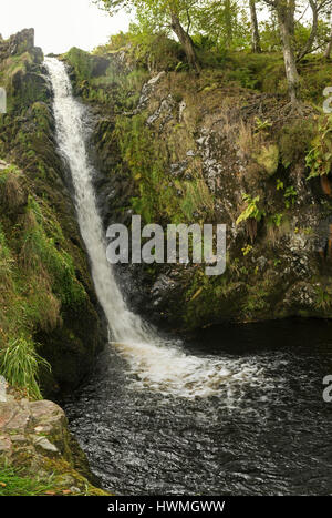 Linhope Auslauf im Northumberland National Park Stockfoto