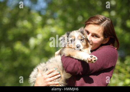 Frau und Australian Shepherd Welpen Stockfoto