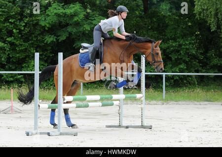 Frau reitet Hannoveraner Stockfoto